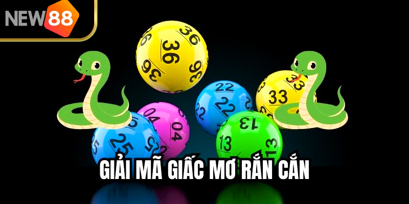 Giải Mã Giấc Mơ Rắn Cắn Và Những Dấu Hiệu Bất Ngờ