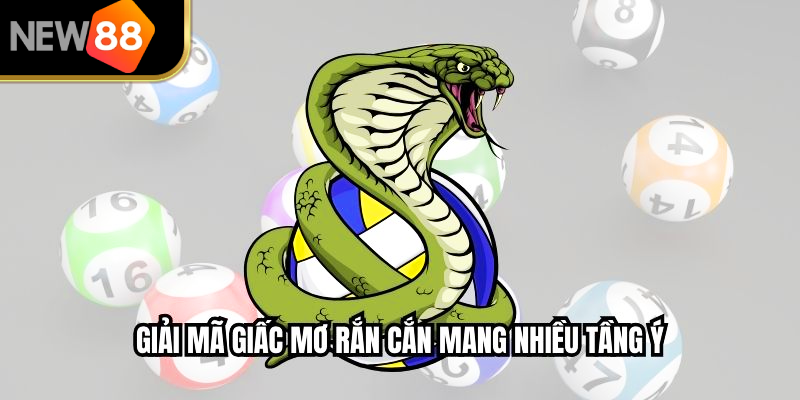 Giải mã giấc mơ rắn cắn mang nhiều tầng ý