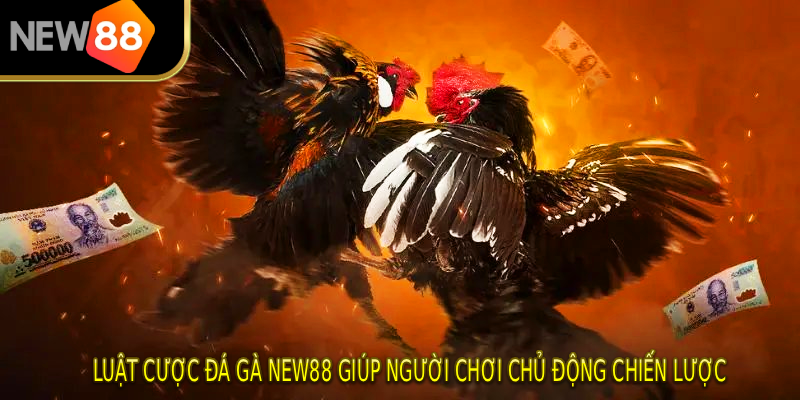 Luật cược Đá Gà NEW88 giúp người chơi chủ động chiến lược