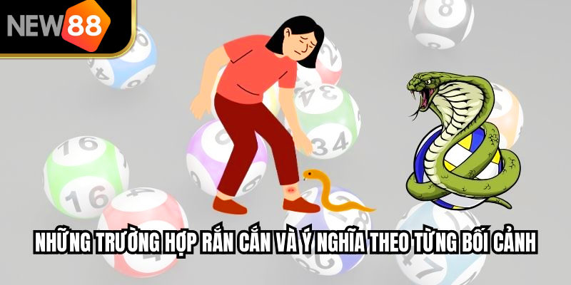 Những trường hợp rắn cắn và ý nghĩa theo từng bối cảnh